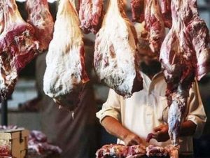 غیر معیاری اور مضرِ صحت اشیائے خورونوش فروخت کرنے والوں کے خلاف قانونی کارروائی ہوگی،رقیہ نواز خان