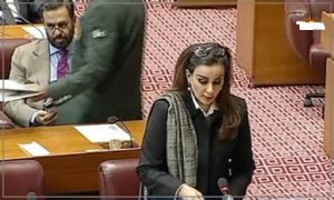 اسلام آباد ، ندہشت گردی سرخ لکیر ہے، ایک صوبہ الگ خارجہ پالیسی نہیں چلا سکتا،شیری رحمان